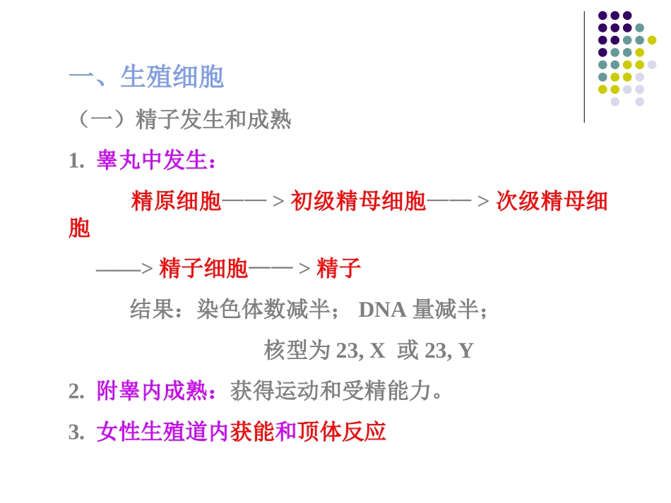 生殖细胞发育_第2页