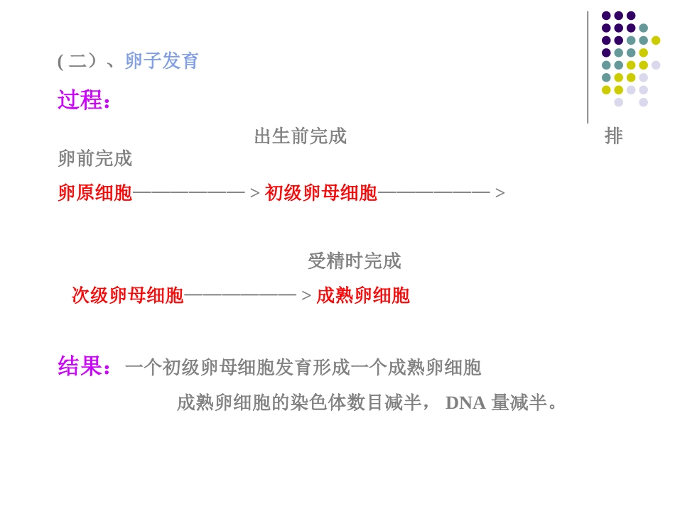 生殖细胞发育_第3页