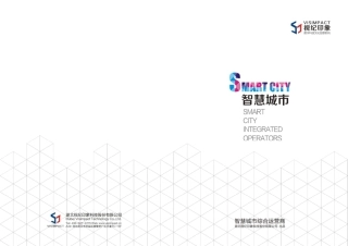 视纪印象电子宣传册(智慧城市版本)