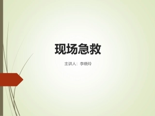 现场急救-理论、心肺复苏、创伤处理、骨折处理