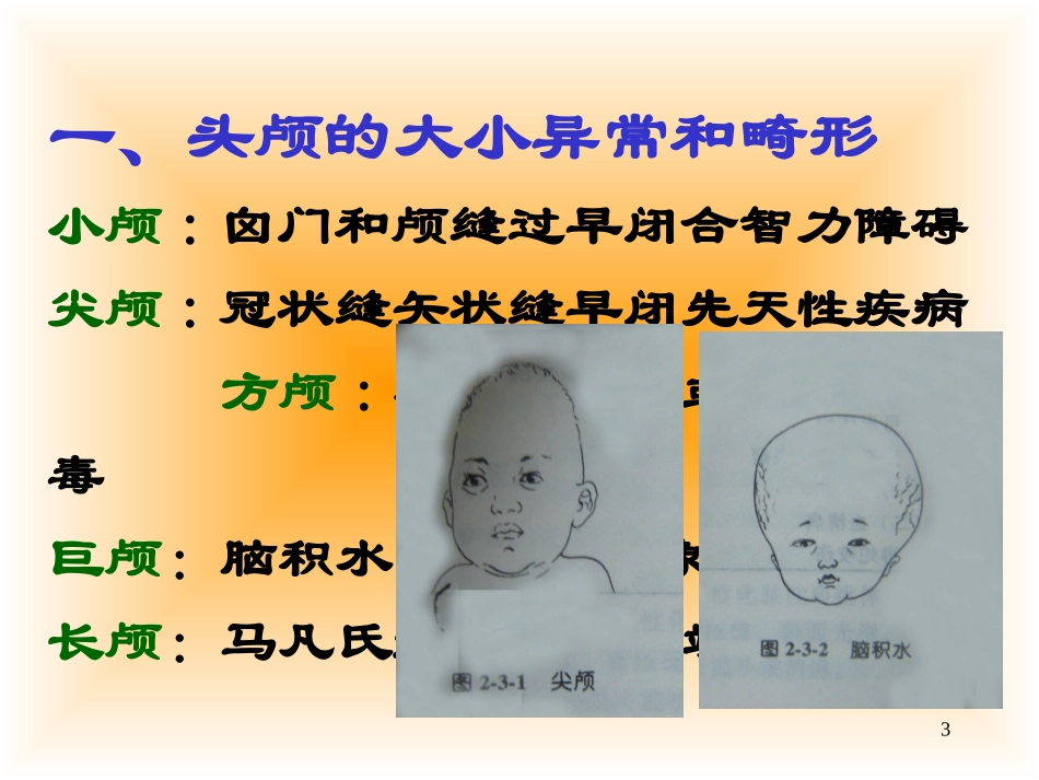 头颈胸部体格检查2学时_第3页