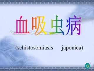 血吸虫07.6.1