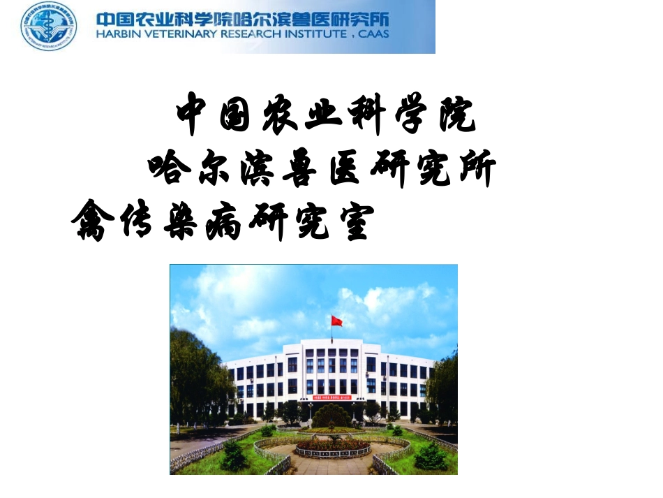 家禽传染性支气管炎的防治_第2页