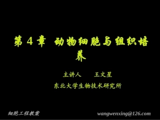 第4章 动物细胞与组织培养-2012