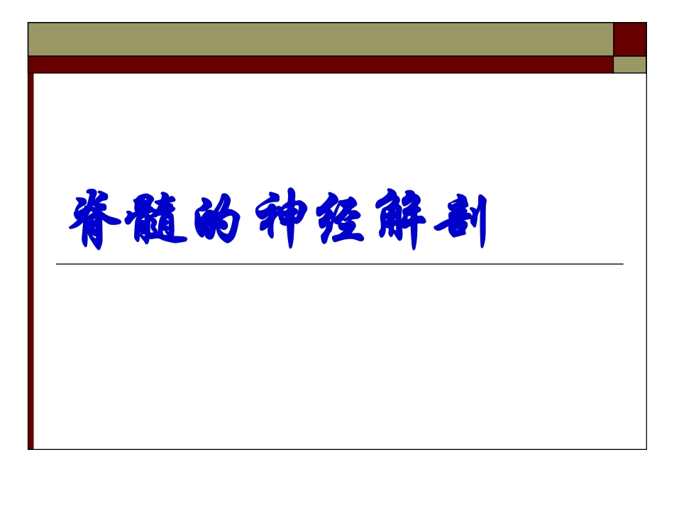 脊髓的神经解剖_第1页