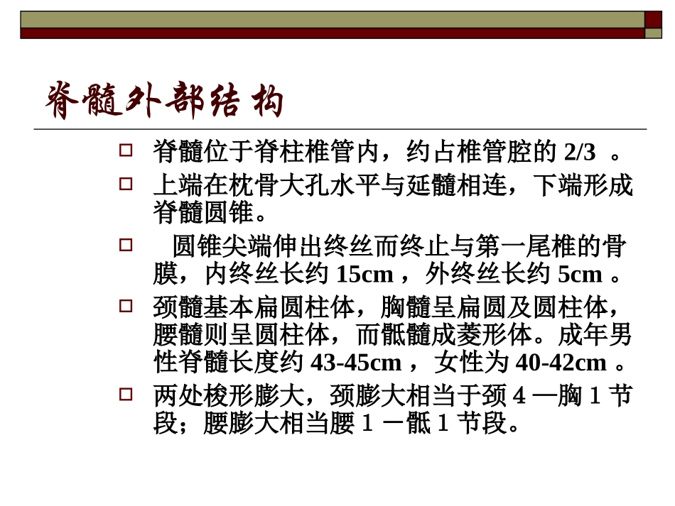 脊髓的神经解剖_第3页