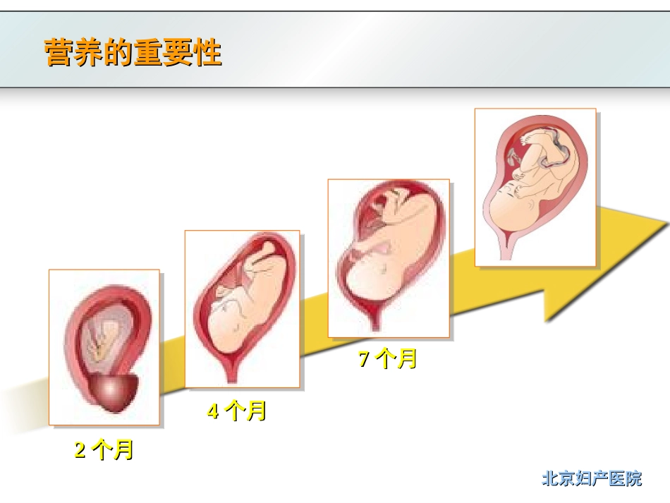 孕期营养(208-12-20)_第3页