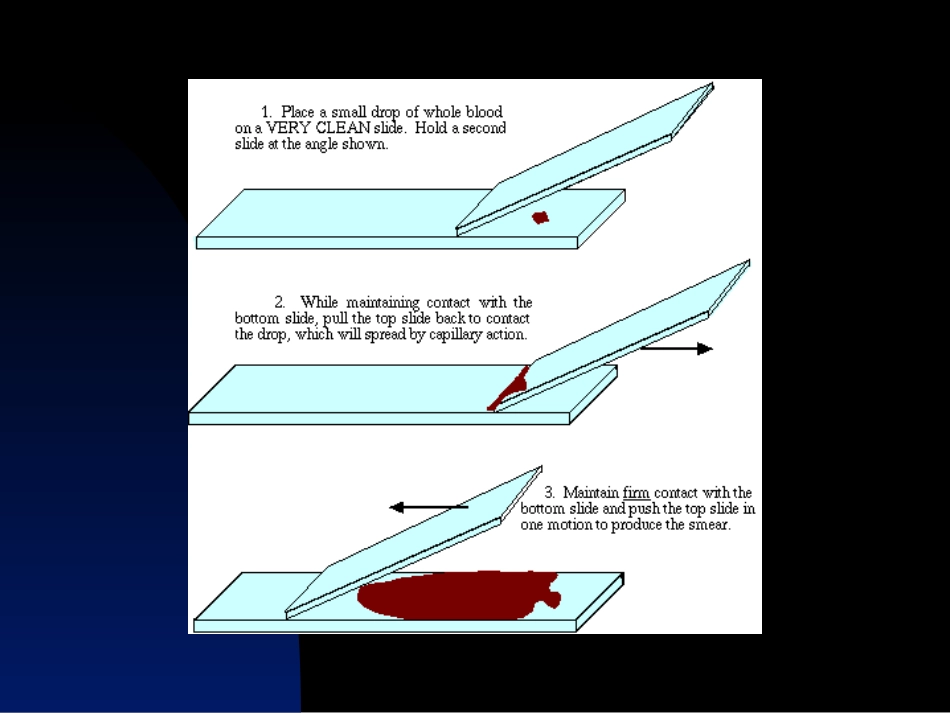白细胞计数和白细胞分类计数_第3页