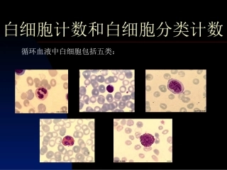 白细胞计数和白细胞分类计数