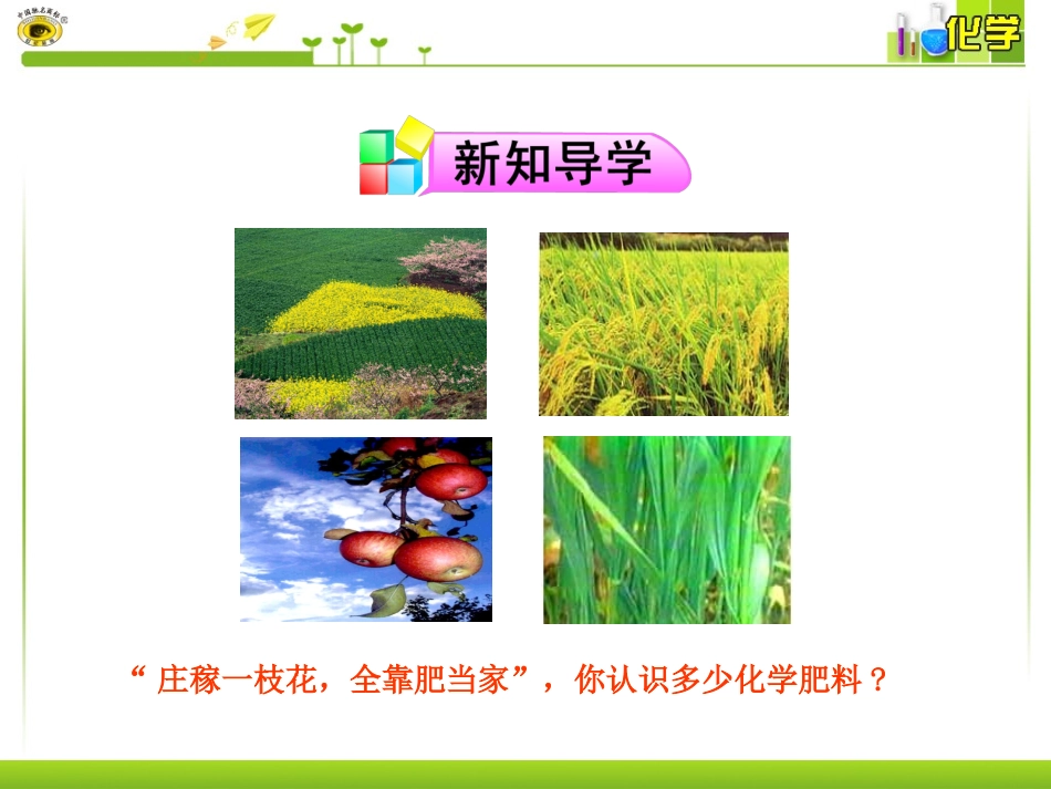 课题2  化学肥料_第3页
