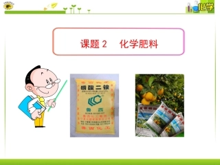 课题2  化学肥料