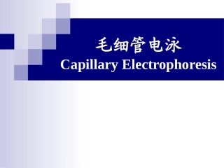 毛细管电泳课件