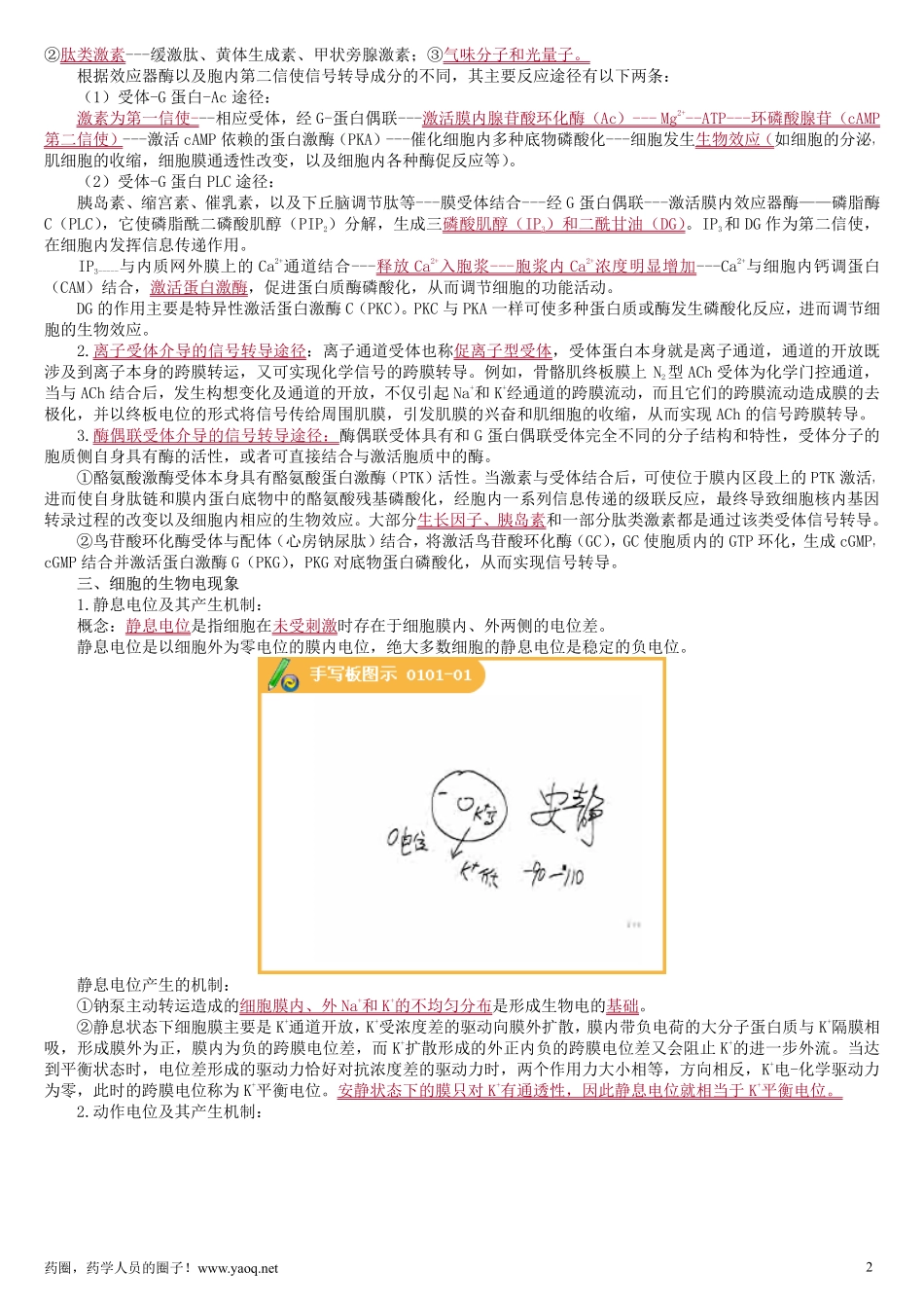 药师资格考试_第2页
