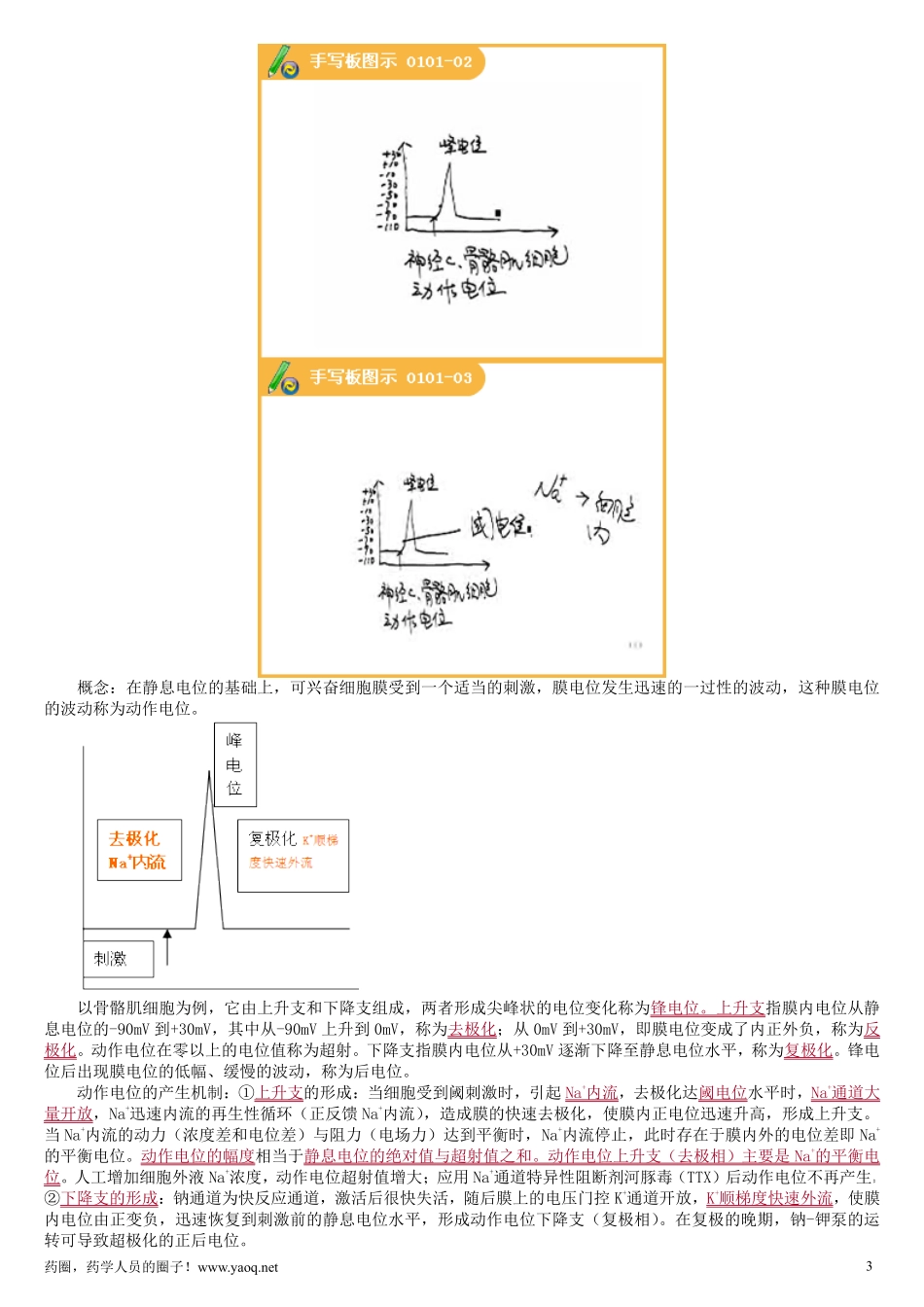 药师资格考试_第3页