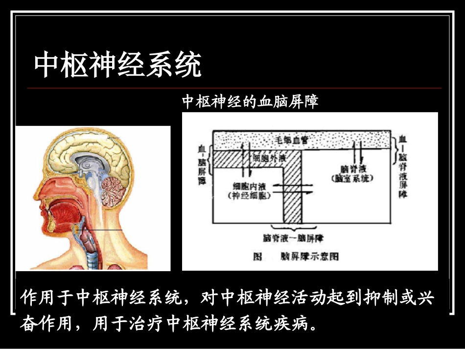 第二章 中枢神经系统药物-2013_第2页