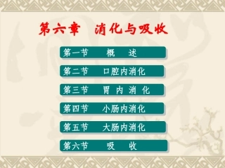 第八章 消化与吸收