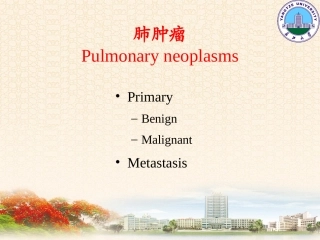 呼吸系统2(影像-)