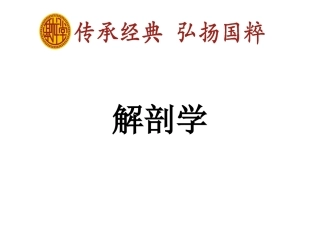 人206块骨的一小部分