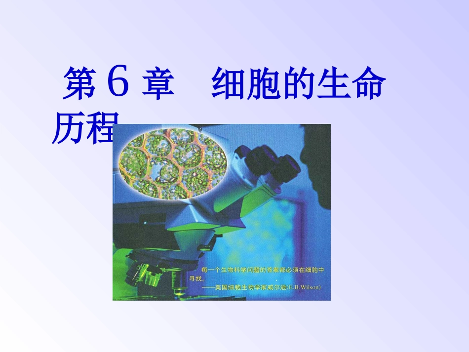 细胞的增殖ppt_第1页