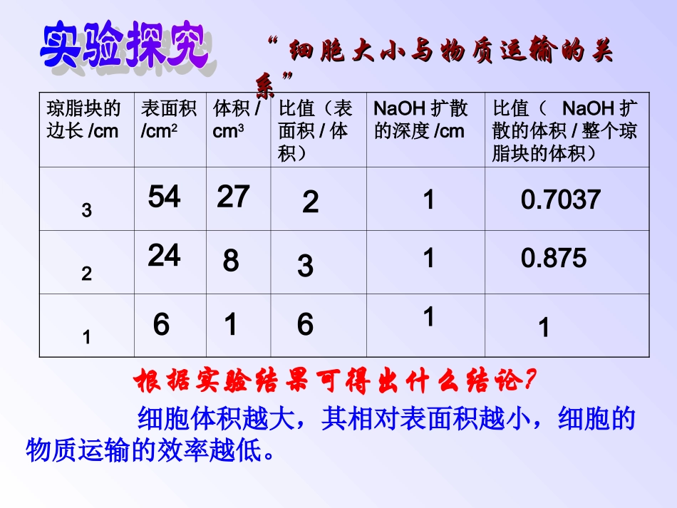 细胞的增殖ppt_第3页