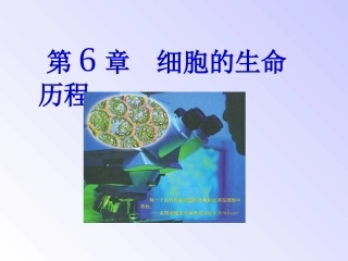细胞的增殖ppt
