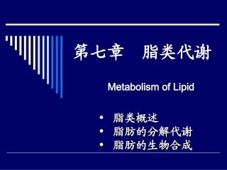 生物化学chapter7