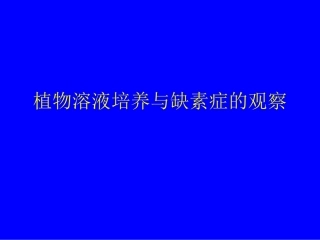 植物溶液培养与缺素症的观察