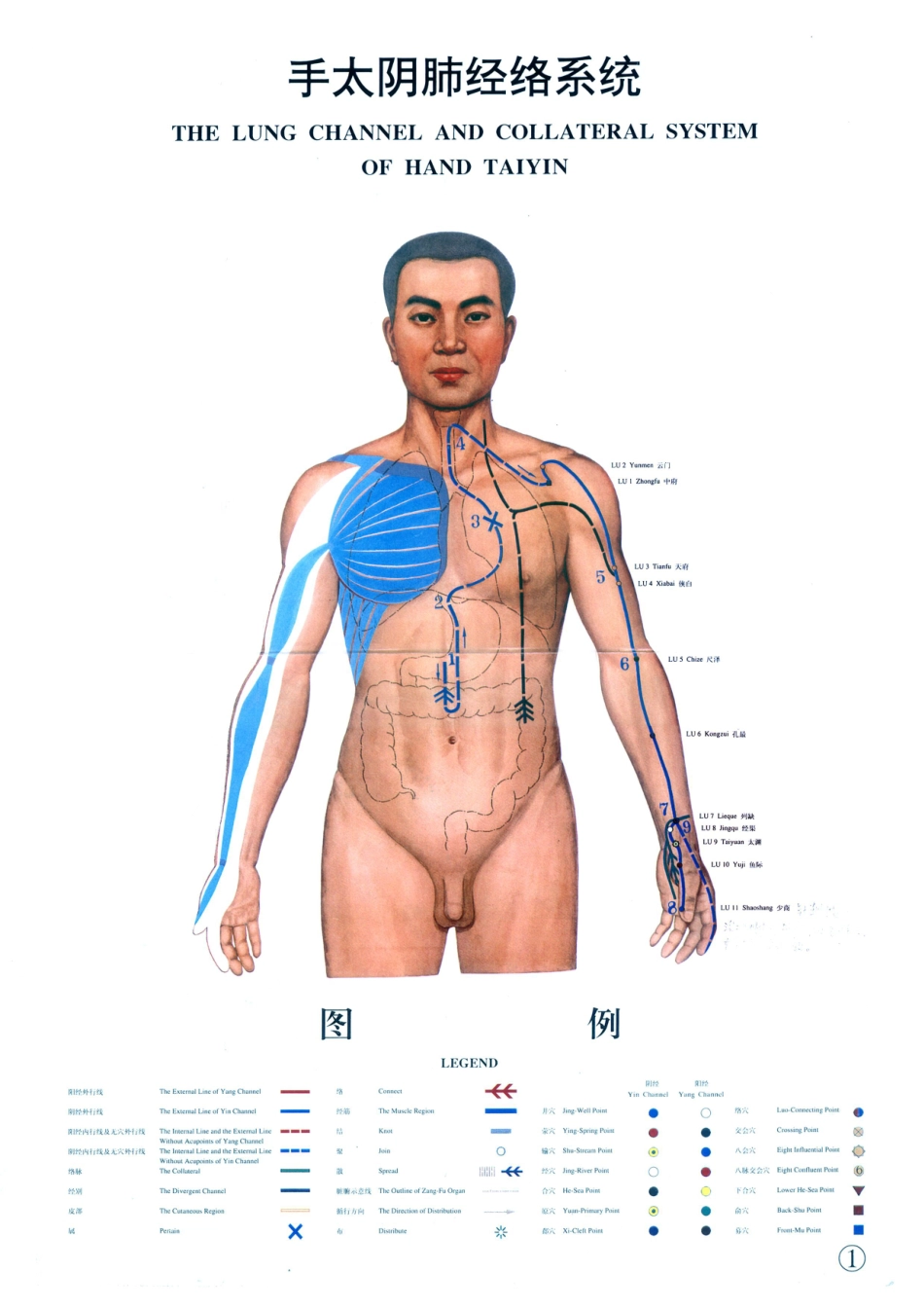 经络系统图-超清晰_第1页