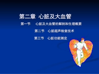 心脏彩超操作