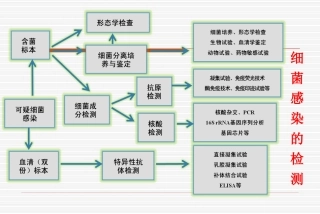 二细菌的生长繁殖消毒与灭菌