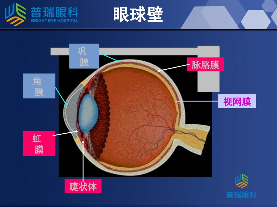 上海普瑞眼科医院青光眼讲座_第3页