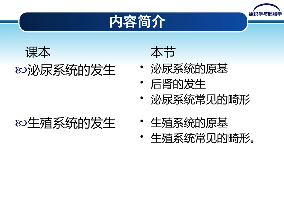 泌尿系统和生殖系统的发生_第3页