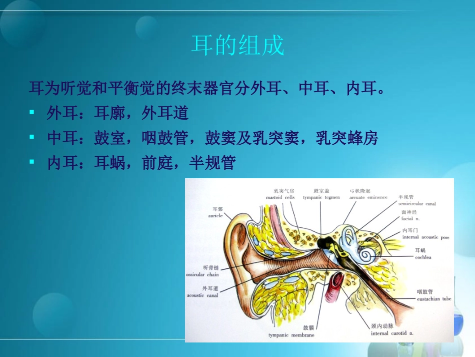 耳部解剖及常见疾病诊断_第2页