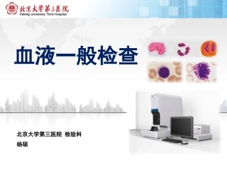 血液一般检查