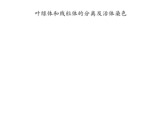 细胞生物学实验-叶绿体和线粒体的分离