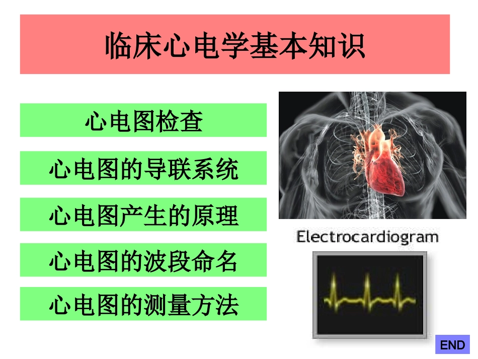 临床心电学基本知识_第2页