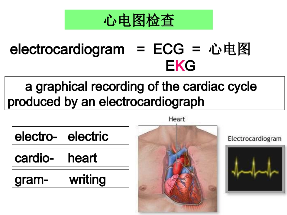 临床心电学基本知识_第3页