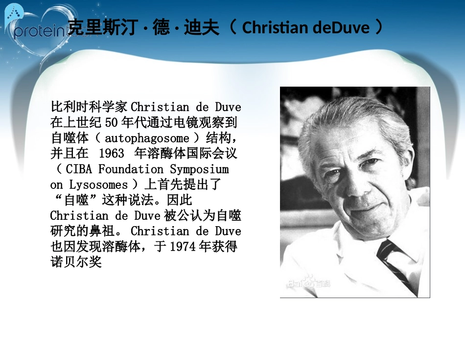 细胞自噬机制_第2页