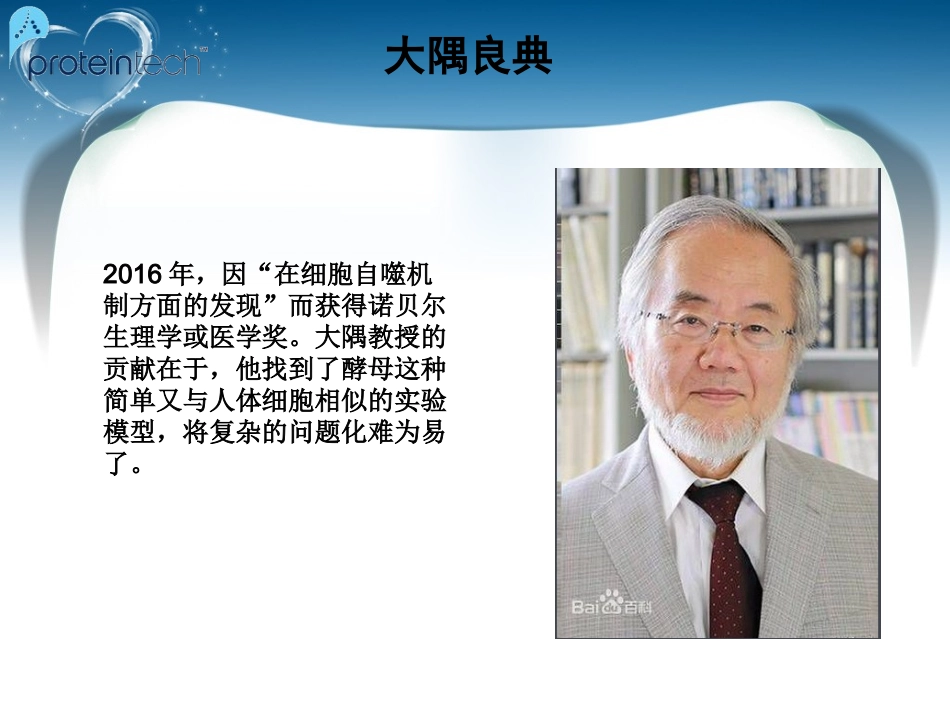 细胞自噬机制_第3页