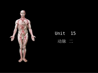 系解uni15.动脉(二)