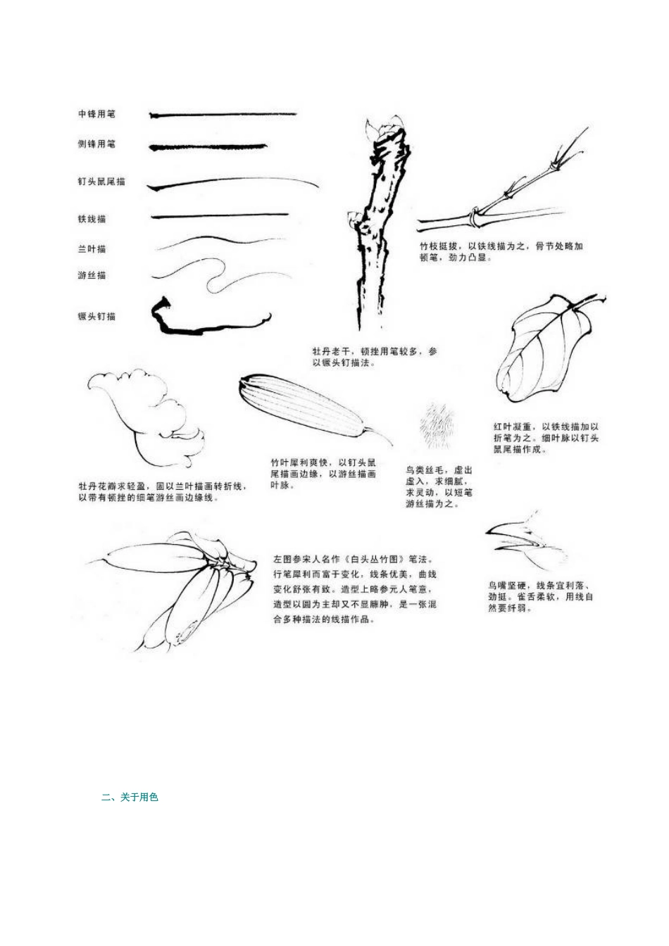 工笔牡丹设色技法及高清白描集_第2页