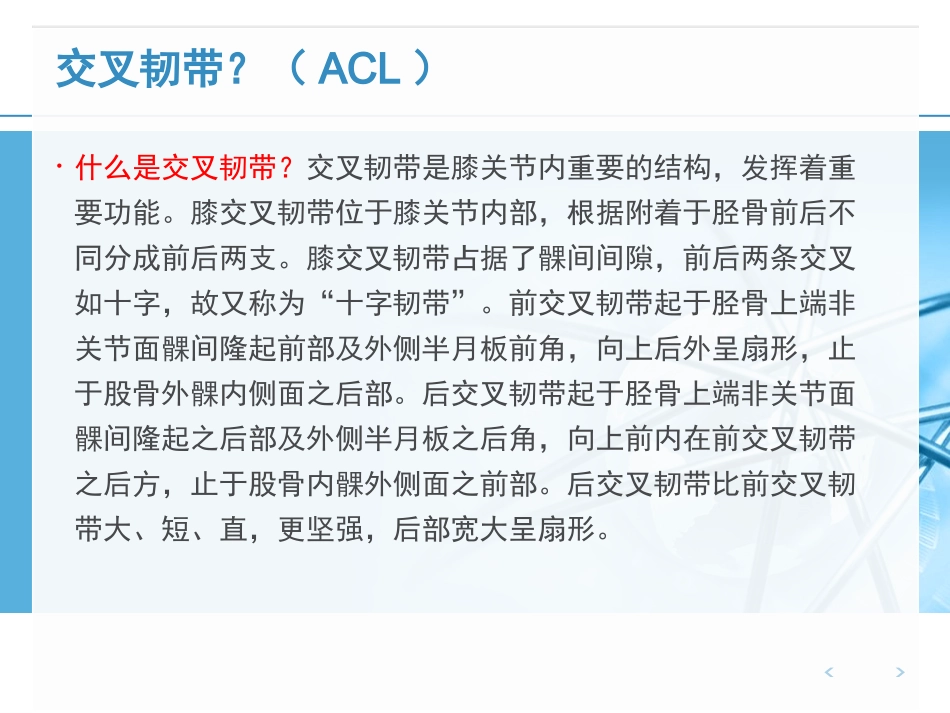 关节镜下前交叉韧的手术配合ppt_第2页
