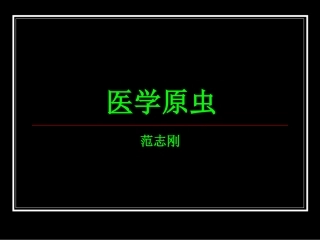 溶组织内阿米巴11