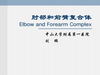 肘和前臂复合体09