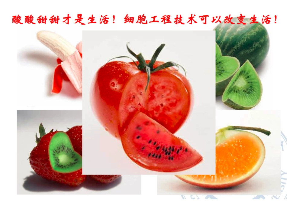 细胞融合与细胞杂交_第1页