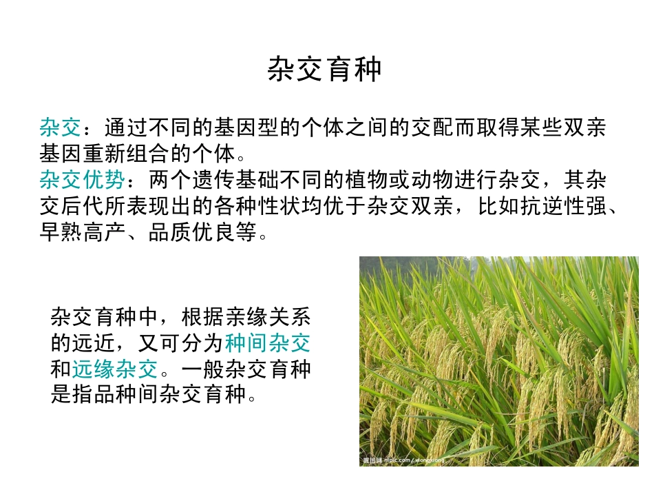 细胞融合与细胞杂交_第3页