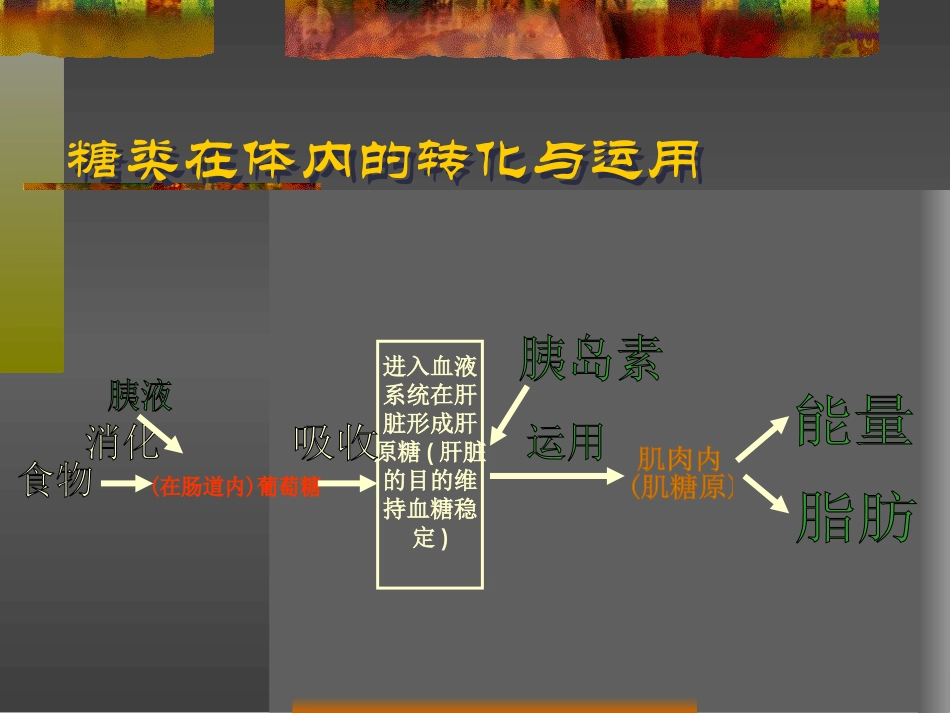 糖尿病的营养调理_第3页