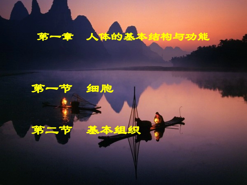 人体的基本结构与功能_第2页