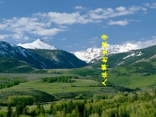 人体的基本结构与功能