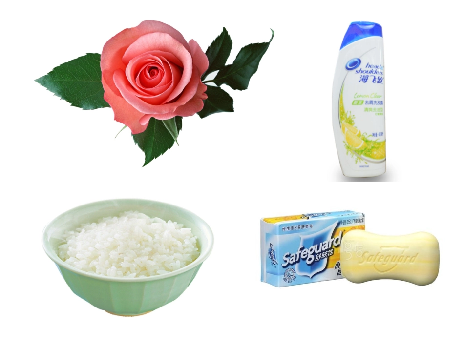 不一样的气味_第2页